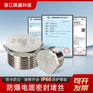 304不锈钢防爆堵头金属实心外丝密封闷盖G1 4公制螺纹 2M32NPT3