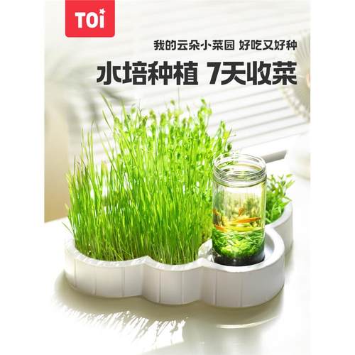 TOI图益云朵小菜园儿童种