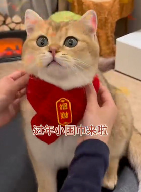 猫咪过年围巾宠物红色保暖口水巾套头围兜狗狗新年围脖新年装饰