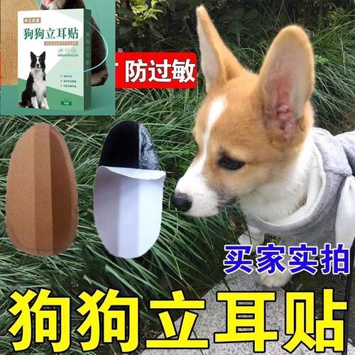 狗狗立耳朵贴竖耳神器小狗犬立耳贴德牧柯基雪纳瑞耳朵固定辅助器