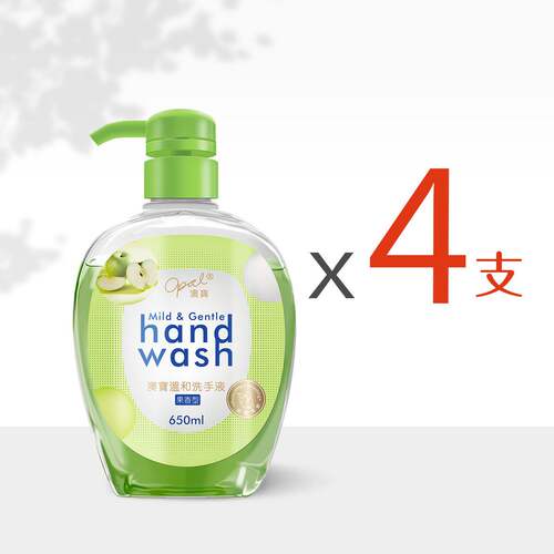 进口版温和洗手液果香型650mlx4支温和配方洁净双手清新芳香