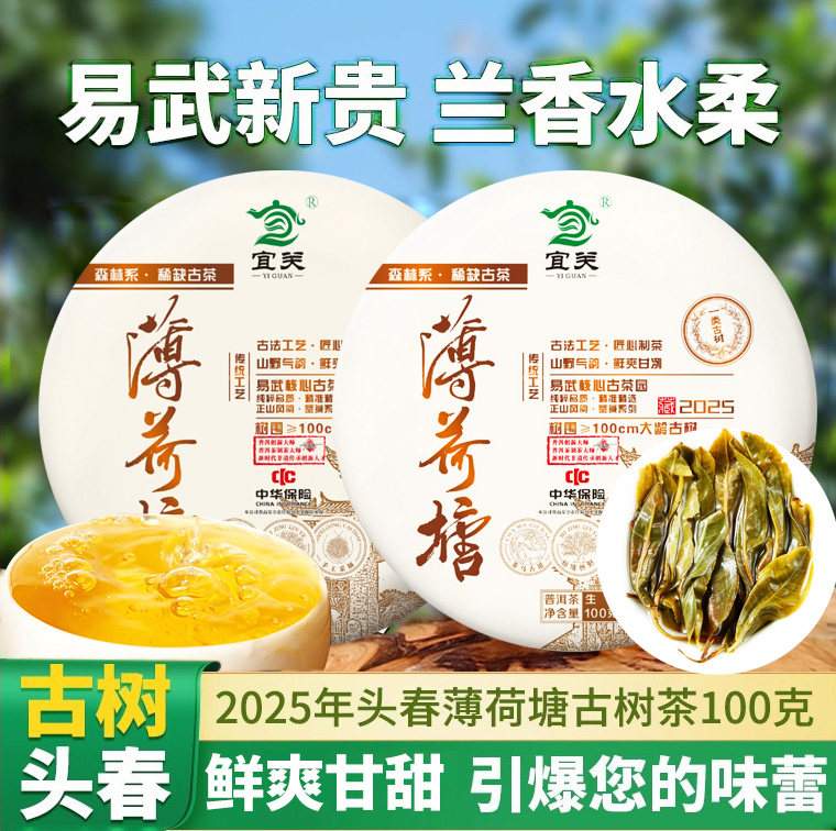 薄荷塘生茶易武核心产区古树2025年新茶普洱生茶饼头春采100g/饼,茶,普洱,淘宝优惠券,粉丝福利购,淘宝优惠卷