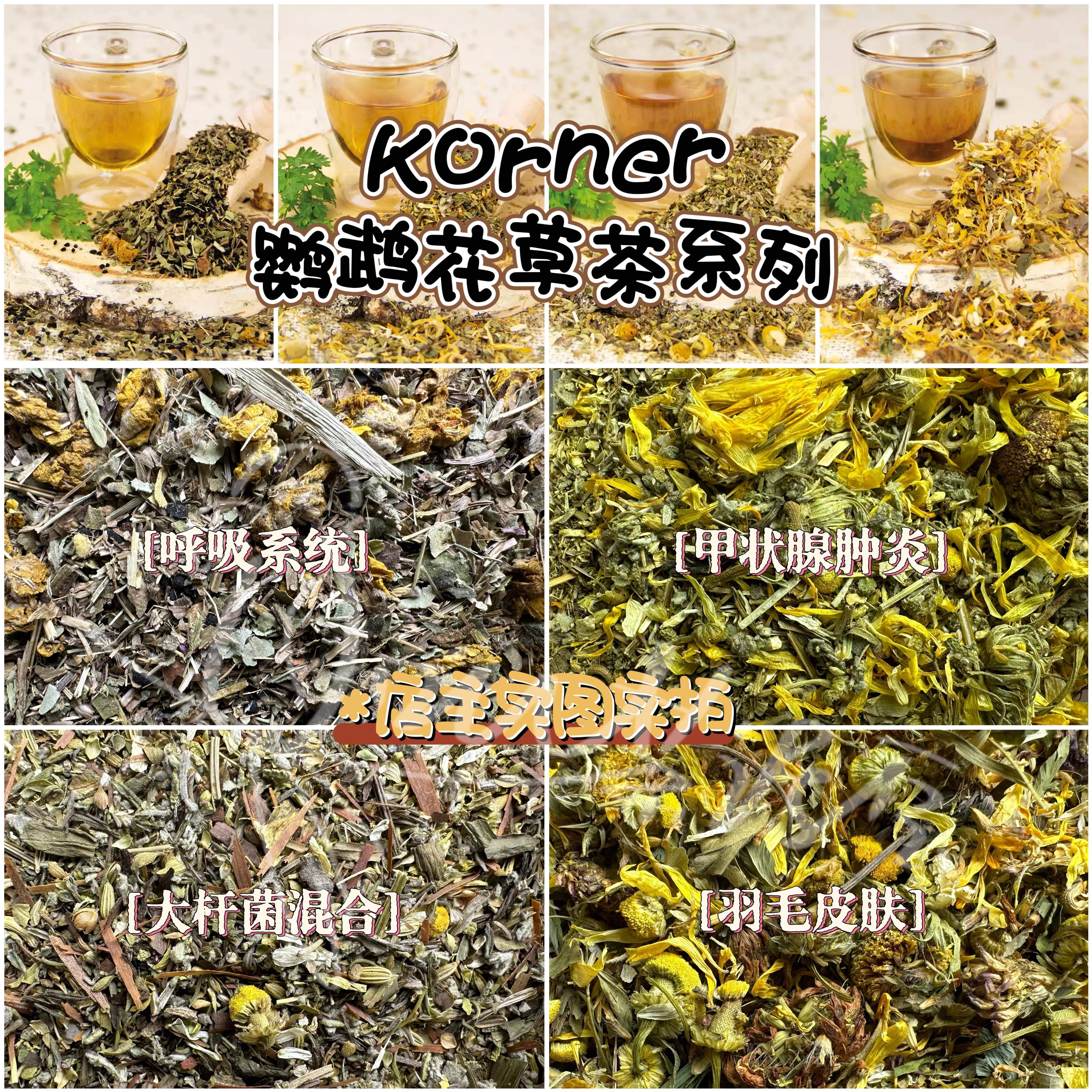 【鹦鹉花草茶】Korner甲状腺肿炎/大杆菌/羽毛皮肤/呼吸花草茶