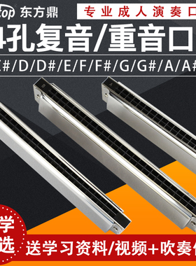 EASTTOP东方鼎T2403C调24孔复音口琴初学入门成人儿童课堂教学