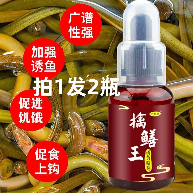 谷蜀香擒鳝王诱钓鳝鱼蝉