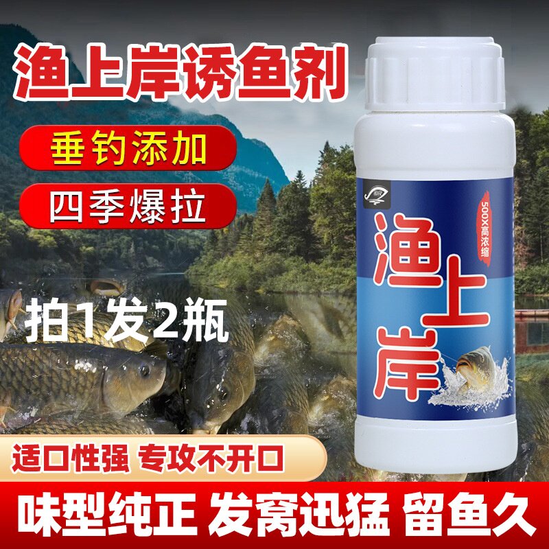 渔上岸钓鱼小药水鲫鲤草