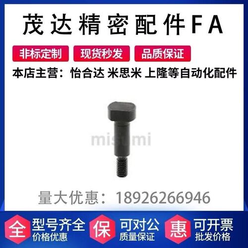 替代米思米 CLBDG4/5/6/8-10/12/14/15/16 铰链销 带肩螺帽固定型
