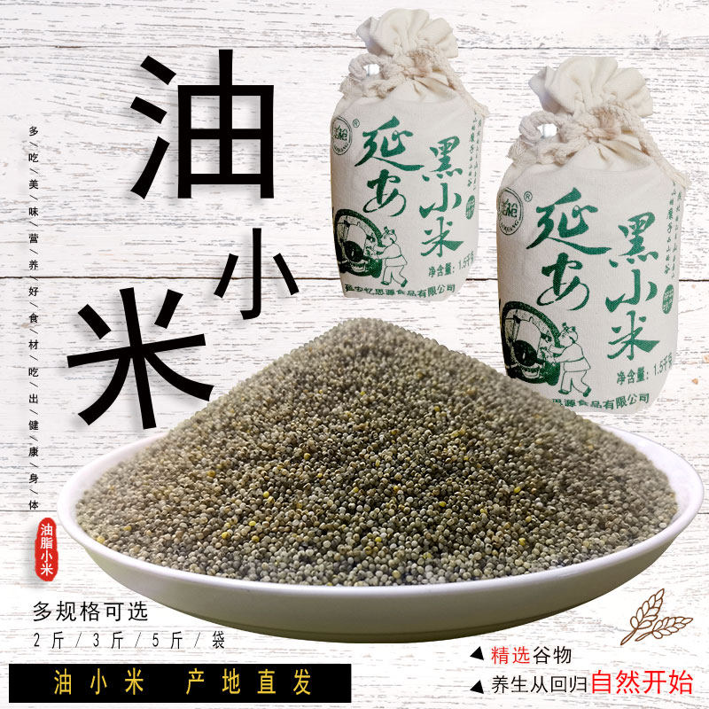 延安小米老枪陕北特产杂粮忆思源