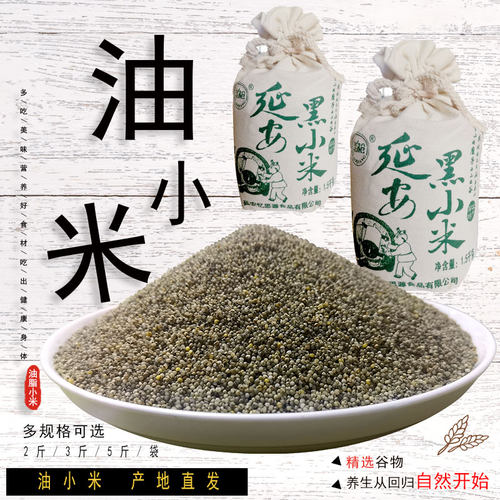 延安小米老枪陕北特产杂粮忆思源