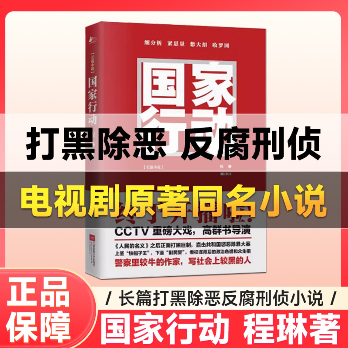 正版 国家行动程琳著 公务员人手一本的自省读物腐败的人背后有人我们的背后有国家除恶长篇小说当代文学畅销书狂飙暗黑者