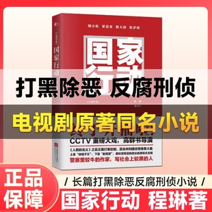 正版 国家行动程琳著 公务员人手一本的自省读物腐败的人背后有人我们的背后有国家除恶长篇小说当代文学畅销书狂飙暗黑者