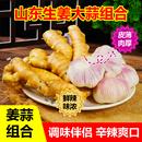 干大蒜头山东大黄姜组合紫白皮大蒜头大黄姜新鲜生姜块姜辛辣味足