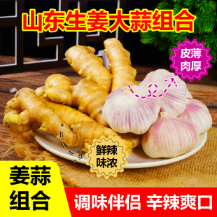 干大蒜头山东大黄姜组合紫白皮大蒜头大黄姜新鲜生姜块姜辛辣味足