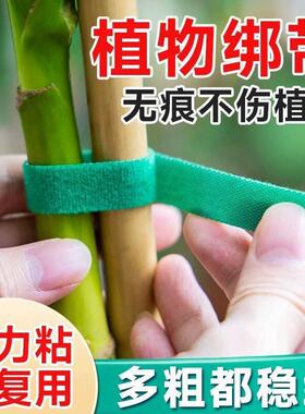 魔术贴扎带打卷绿植捆绑绿色绑树绑植物不伤植物扶正