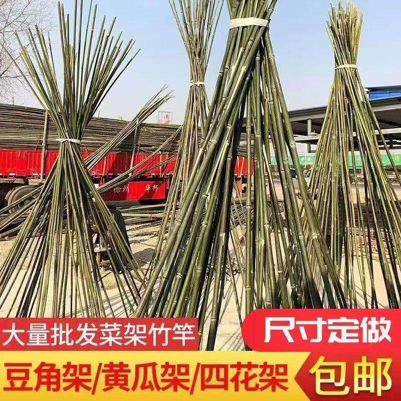 竹杆菜园搭架杆豆角黄瓜番茄支架杆辣椒架子超硬植物爬藤棋杆架