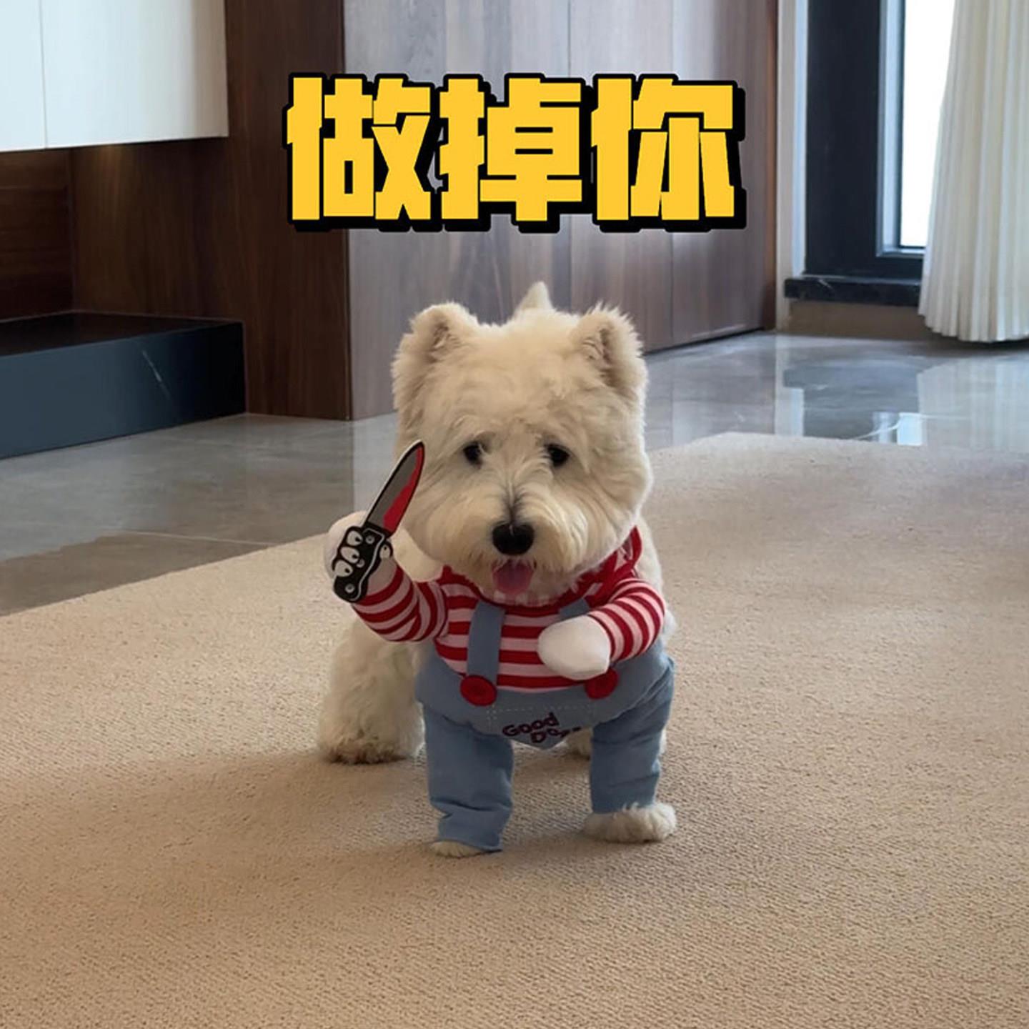 西高地白梗专用狗狗拿刀衣服雪纳瑞搞笑搞怪变身装两脚衣小型犬