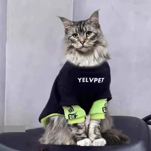 缅因猫衣服缅因幼猫咪穿的小衣服专用黑色帅气公猫秋春季高级薄款