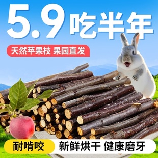 兔子磨牙棒兔兔专用苹果枝侏儒兔可食用苹果树枝啃咬玩具零食木头