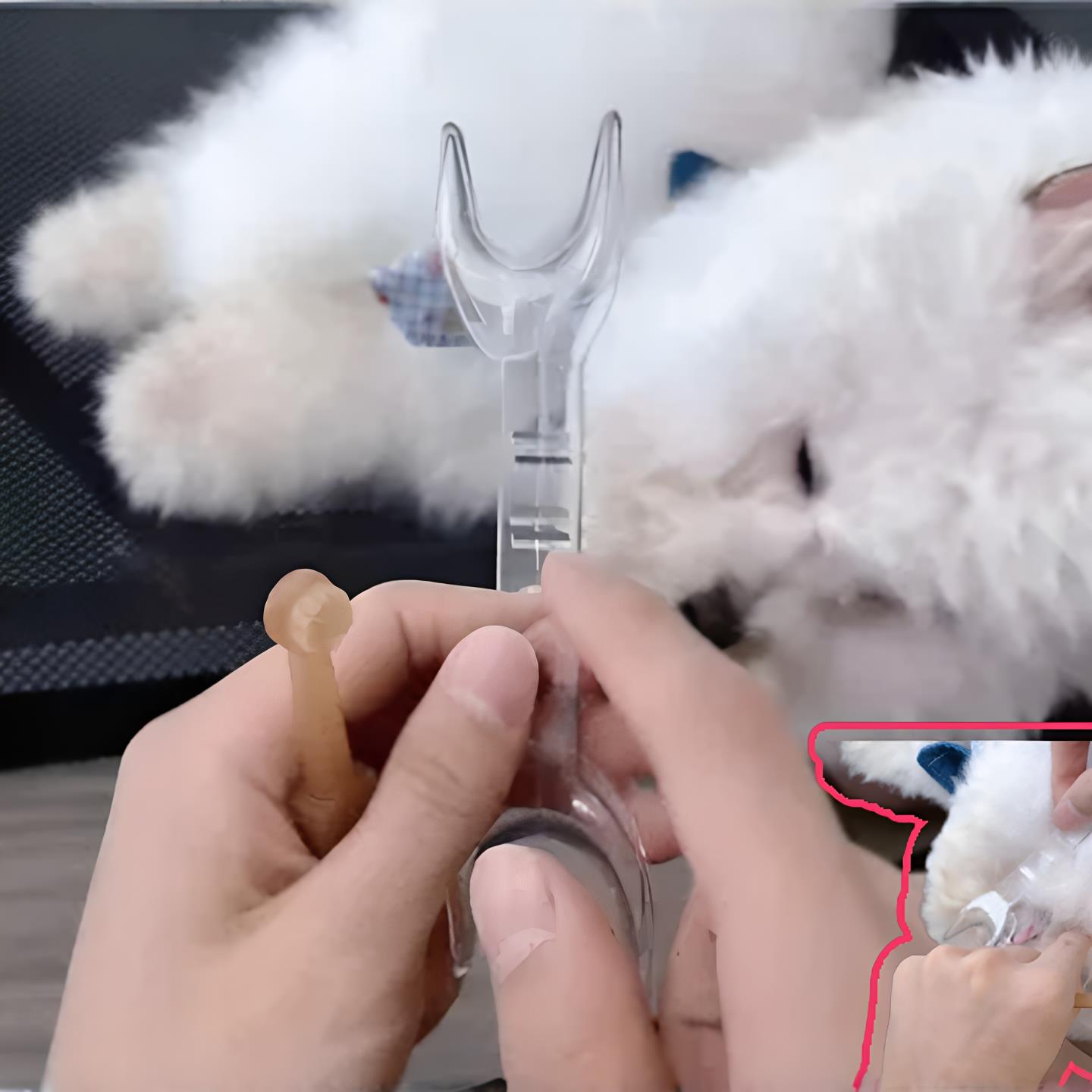 【狗狗刷牙神器】猫狗开口器刷牙垢辅助清洁牙结石神器口腔支撑器