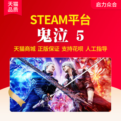 steam正版国区鬼泣5单机游戏