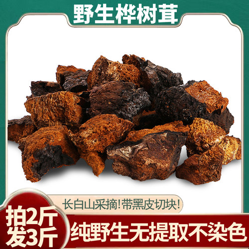 长白山野生桦树茸黑金颗粒不提取白桦茸磨粉500g非俄罗斯进口