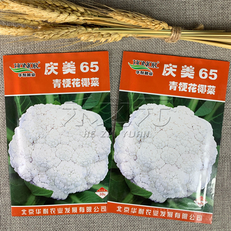 花椰菜特价 天猫花椰菜优惠券 淘宝花椰菜优惠卷免费领取 白菜哦 花椰菜特价 天猫花椰菜优惠券 淘宝花椰菜优惠卷免费领取 白菜哦