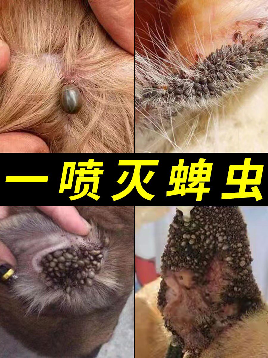 蜱虫药专用虫剂猫狗体外大面积灭吸血虫去除跳蚤虱子蜱虫喷雾剂