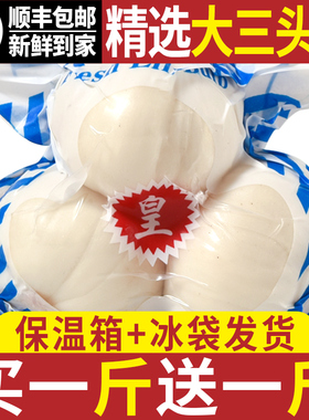 兰州新挖新鲜甜百合500g三头食用鲜白合甘肃特产非干货特级百合干