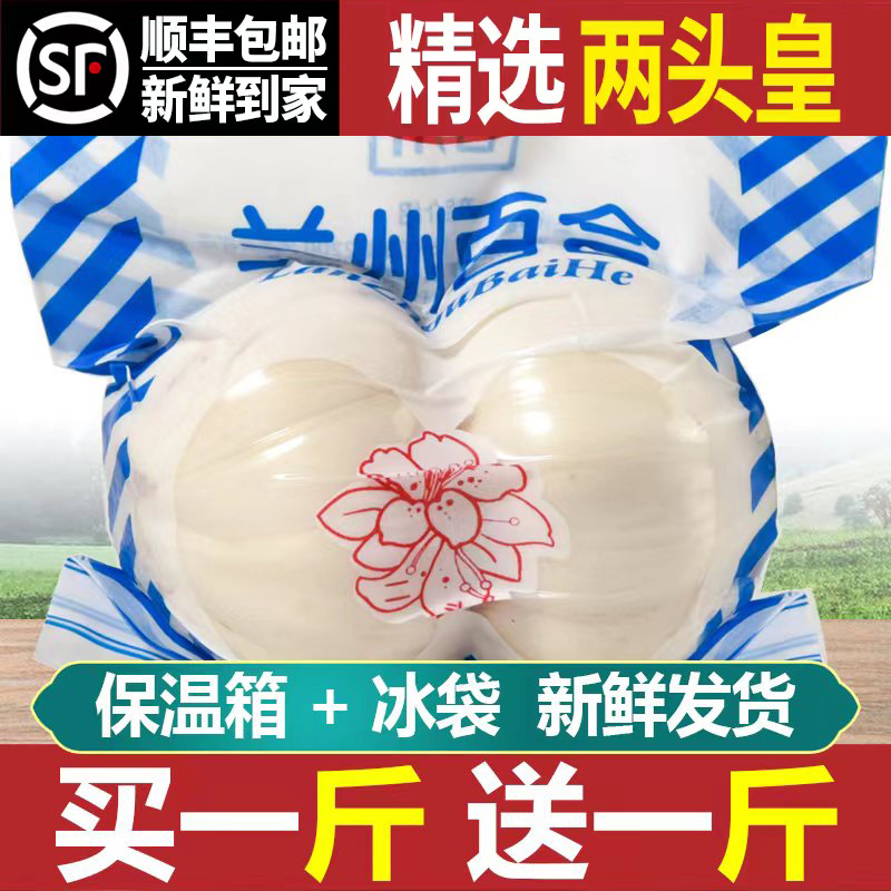 九年生新挖新鲜2斤12个兰州百合