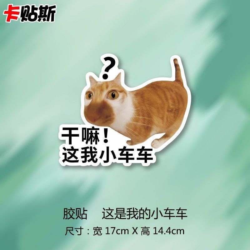干嘛这我小车车贴纸meme猫咪搞笑表情包文字磁吸创意车尾装饰防水