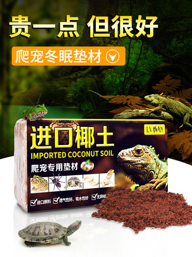 角蛙专用泥价格 角蛙专用泥图片 星期三