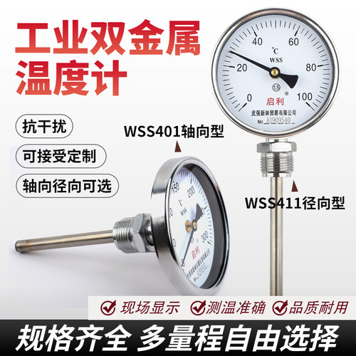 工业双金属插入式温度计