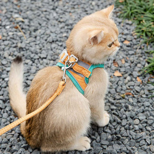 胸背防挣脱幼猫魔术贴安全扣反光宠物遛猫绳 猫咪牵引绳可爱背心式