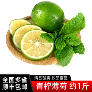 薄荷叶青柠檬套餐共500g新鲜食用饮品莫吉托水果茶套餐奶茶店用品