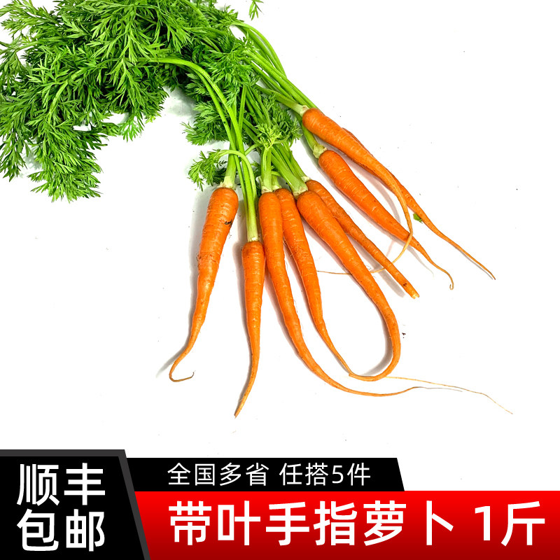 带叶手指胡萝卜500g 新鲜蔬菜迷你水果胡萝卜色拉沙拉食材5件包邮,水产肉类/新鲜蔬果/熟食,萝卜/胡萝卜,淘宝优惠券,粉丝福利购,淘宝优惠卷