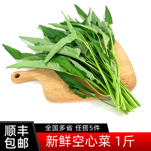 新鲜空心菜500g竹叶空心菜农家藤藤菜蕹菜蓊菜通心菜无心菜空筒菜
