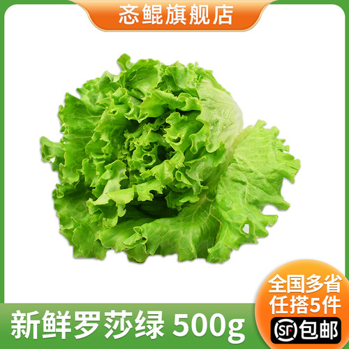 罗莎绿生菜忞鲲沙拉蔬菜