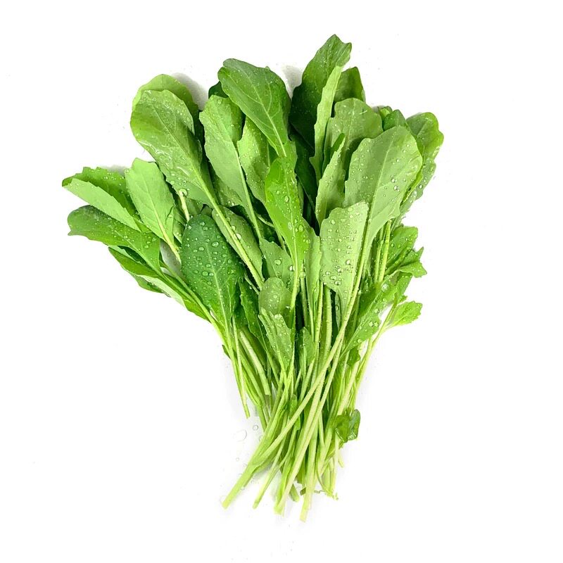 芥兰苗500g 新鲜蔬菜绿叶菜嫩叶炒菜火锅食材 5件包邮