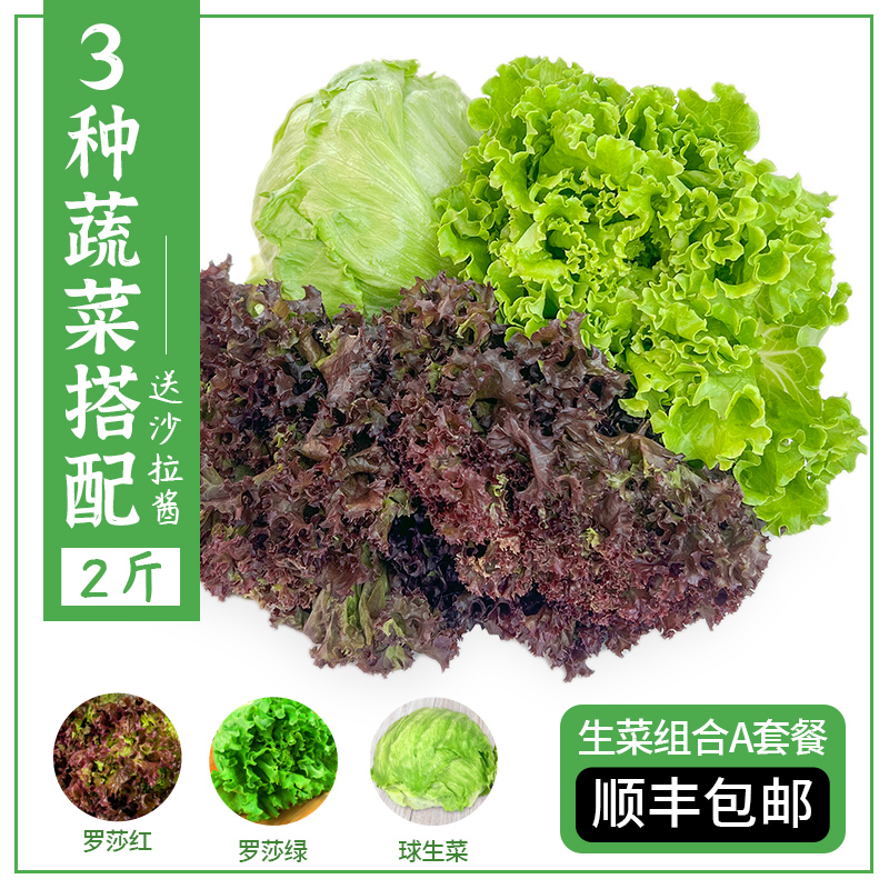忞鲲2斤蔬菜组合3种生菜