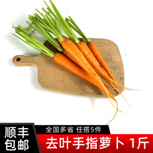 包邮 去叶手指胡萝卜 5件 沙拉食材 新鲜蔬菜迷你水果小胡萝卜