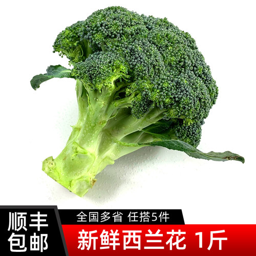 新鲜西兰花 脆嫩青花菜绿花菜西蓝花椰菜时令蔬菜 满5件包邮