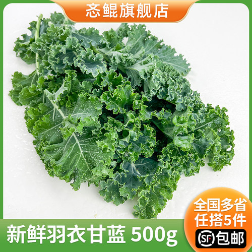 新鲜蔬菜羽衣甘蓝沙拉榨汁食材