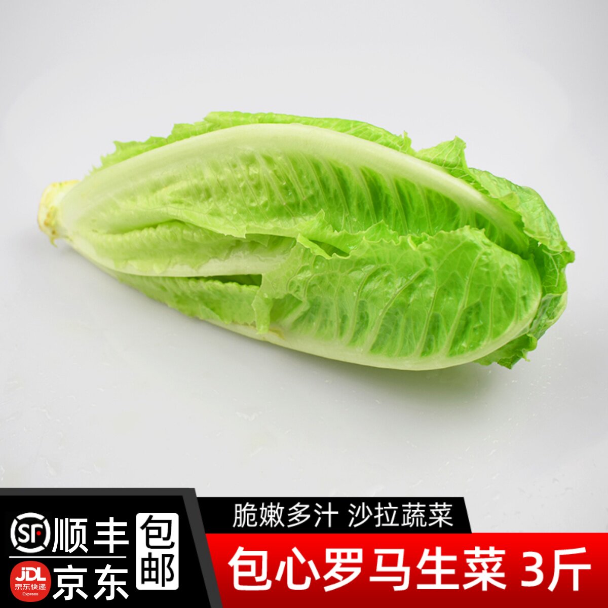 新鲜包心罗马生菜3斤罗马罗纹生菜凯撒沙拉蔬菜 西餐沙拉食材包邮