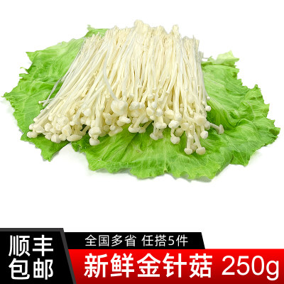 新鲜金针菇250g 时鲜菌类 凉拌烧烤蔬菜火锅素菜配菜麻辣烫食材