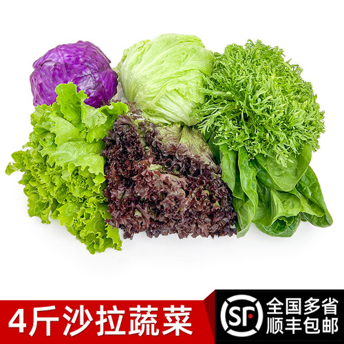 新鲜沙拉蔬菜组合西餐食材