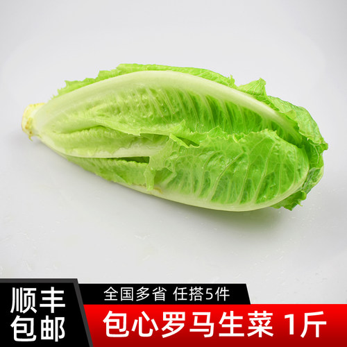 包心罗马生菜500g 黄心罗马罗纹凯撒生菜 西餐沙拉食材 5件包邮