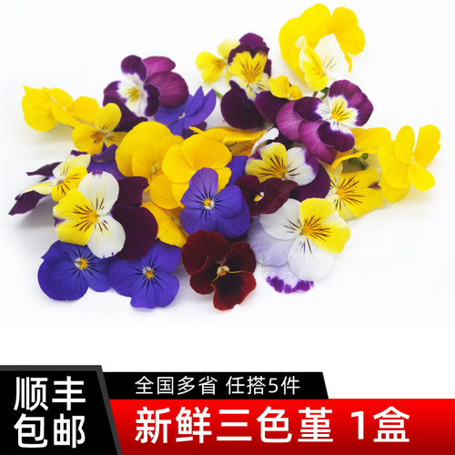 新鲜采摘，顺丰发货