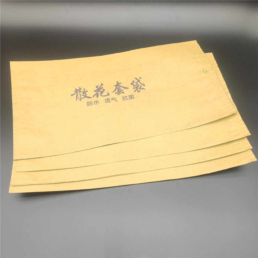 菜花套袋有机菜花专用双层花菜纸袋子防水防虫优质花菜袋子套袋