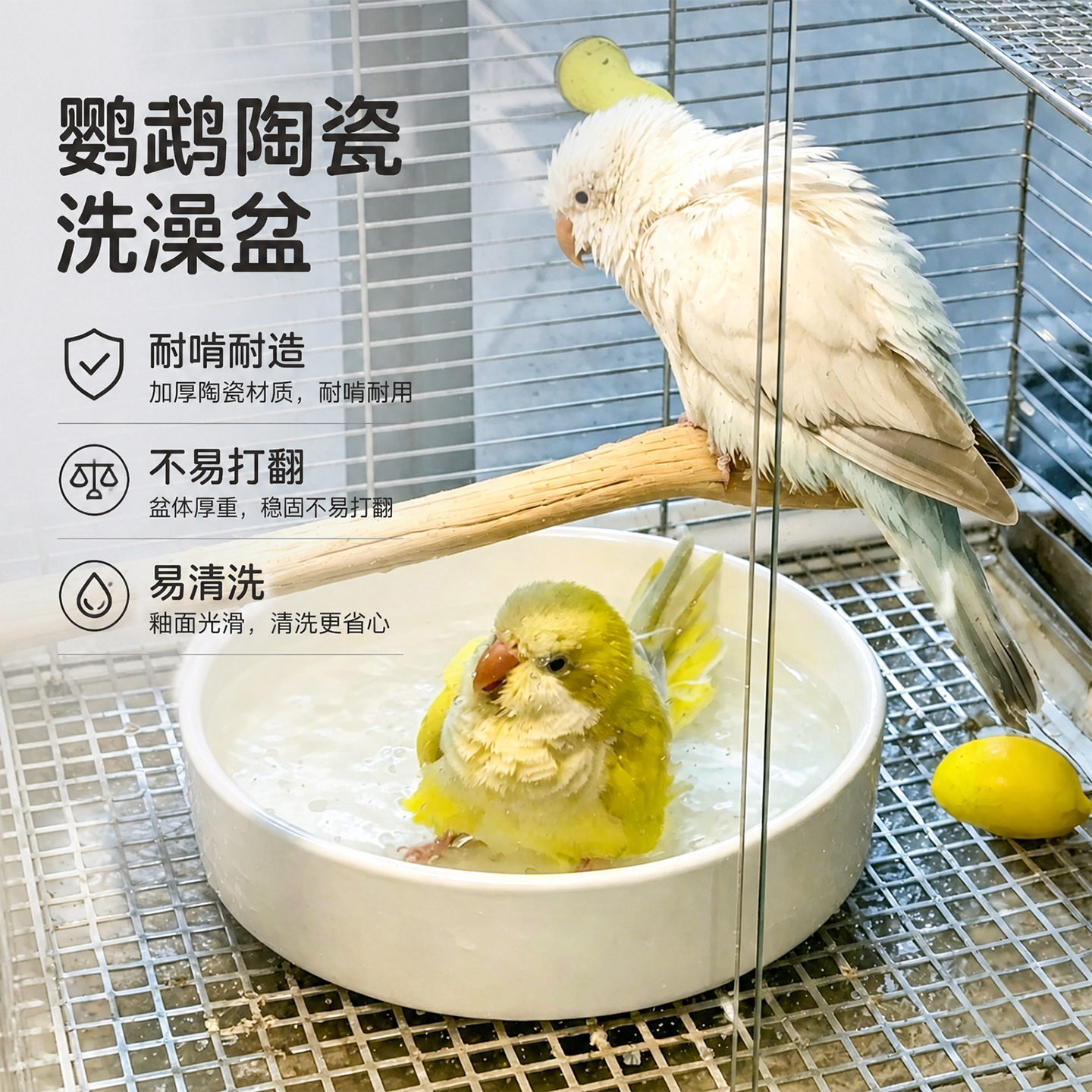 鹦鹉洗澡盆小鸟专用洗澡神器夏天玄风牡丹澡盆陶瓷款浴室降温好物