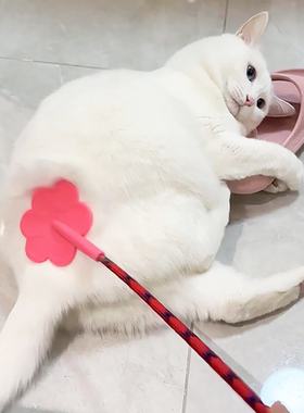 猫咪拍屁股玩具爱心拍子自嗨解闷神器逗猫棒宠物大小狗训练器教育